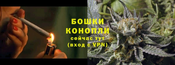 PSILOCYBIN Елизово