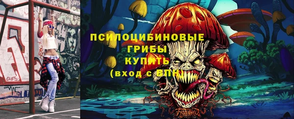 прущий лед Алзамай