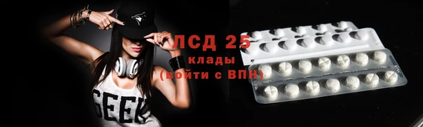 ГАЛЛЮЦИНОГЕННЫЕ ГРИБЫ Абаза