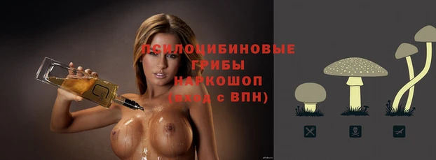 прущий лед Алзамай