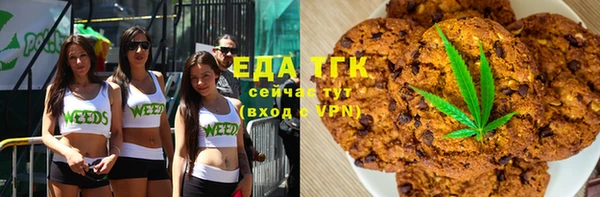 прущий лед Алзамай