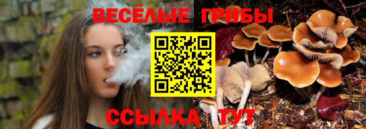 Псилоцибиновые грибы мицелий  Вход с VPN  Псилоцибиновые грибы мухоморы  Темрюк 