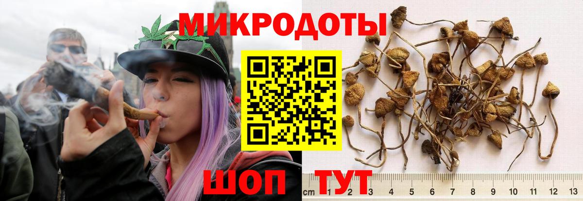 Псилоцибиновые грибы прущие грибы Темрюк